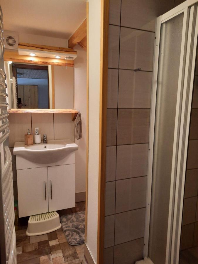 Apartamento Špičák - U Barabů Železná Ruda Exterior foto