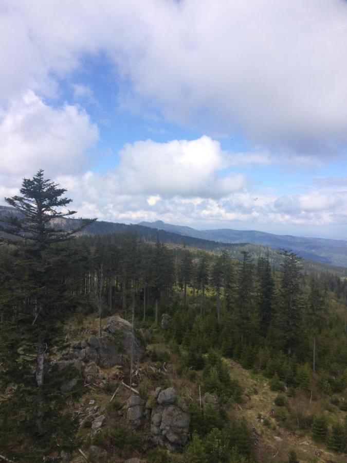Apartamento Špičák - U Barabů Železná Ruda Exterior foto