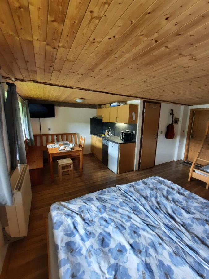 Apartamento Špičák - U Barabů Železná Ruda Exterior foto