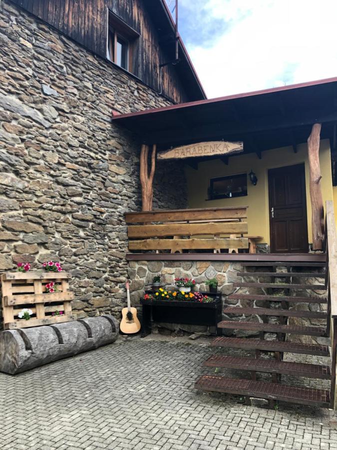 Apartamento Špičák - U Barabů Železná Ruda Exterior foto